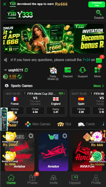 y333 Game