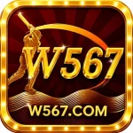 W567 Game