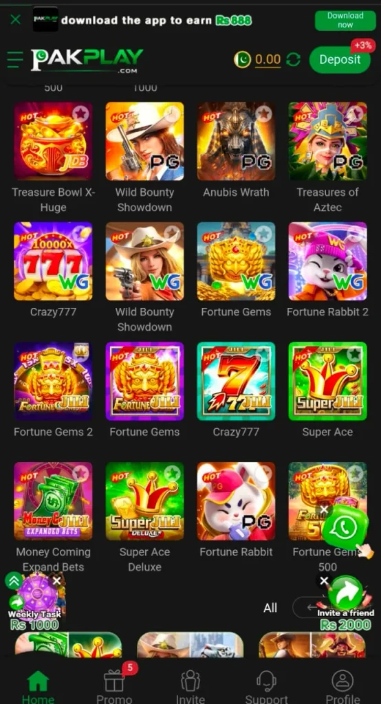 PakPlay Game